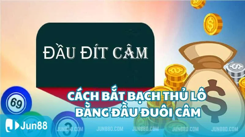 Cách bắt bạch thủ lô bằng đầu đuôi câm