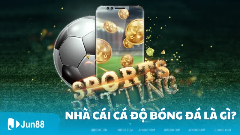 Nhà cái cá độ bóng đá là gì?